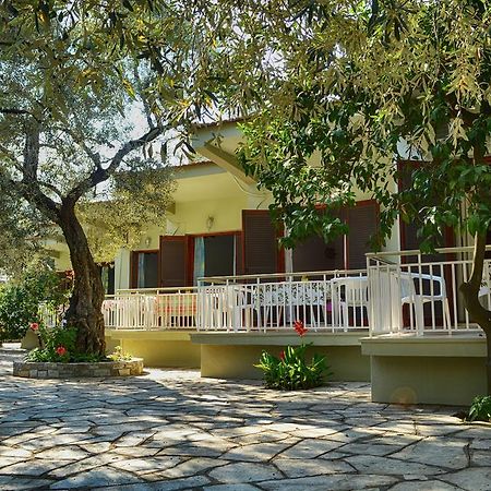Guesthouse Irene Afissos Zewnętrze zdjęcie