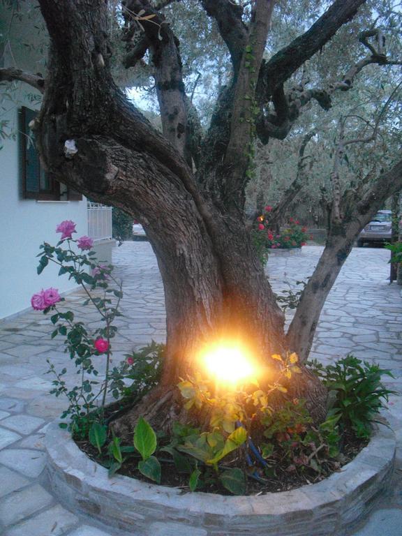 Guesthouse Irene Afissos Zewnętrze zdjęcie
