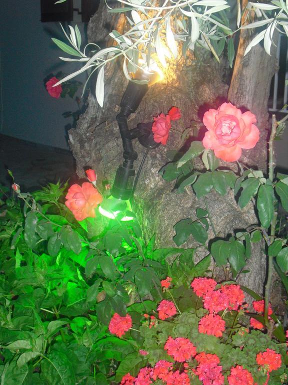 Guesthouse Irene Afissos Zewnętrze zdjęcie