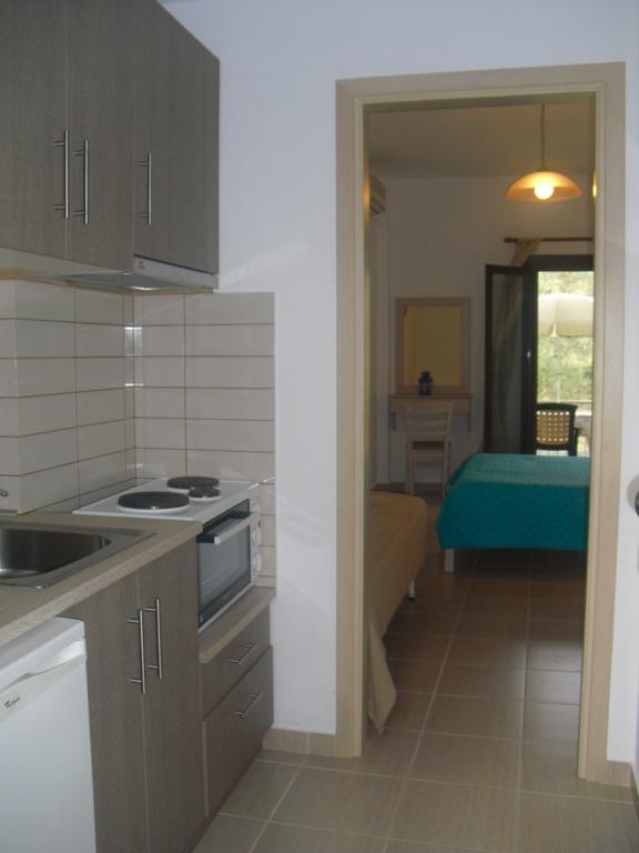 Guesthouse Irene Afissos Zewnętrze zdjęcie